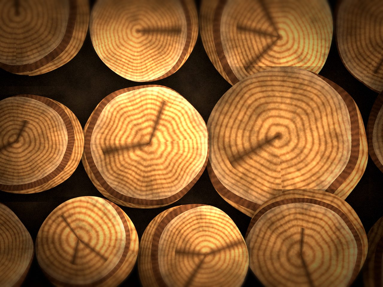 Лиственничные дрова — ракурс 2